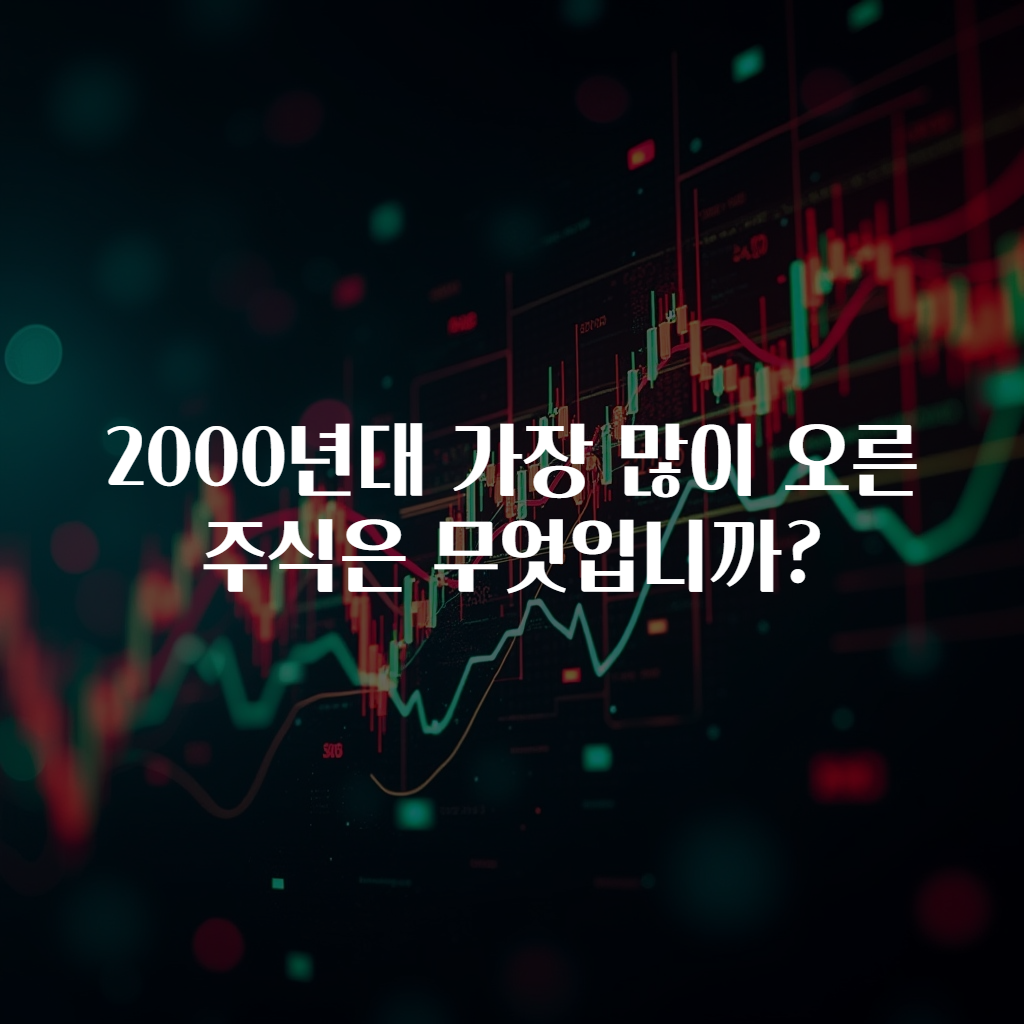 2000년대 가장 많이 오른 주식은 무엇입니까?