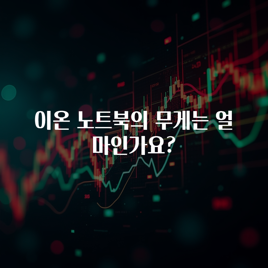 이온 노트북의 무게는 얼마인가요?