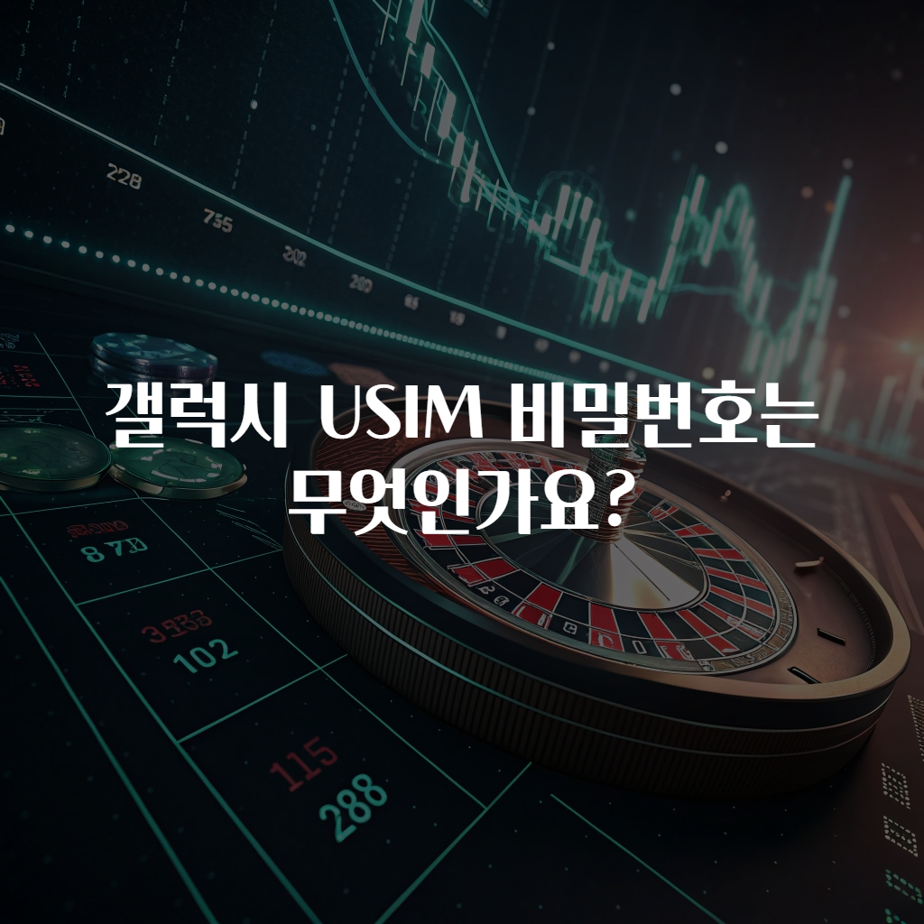갤럭시 USIM 비밀번호는 무엇인가요?
