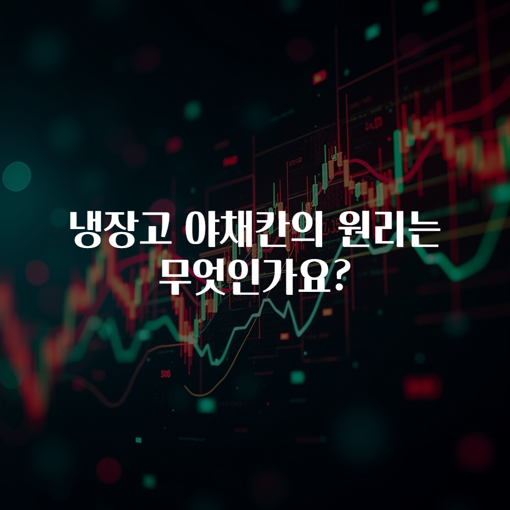 냉장고 야채칸의 원리는 무엇인가요?
