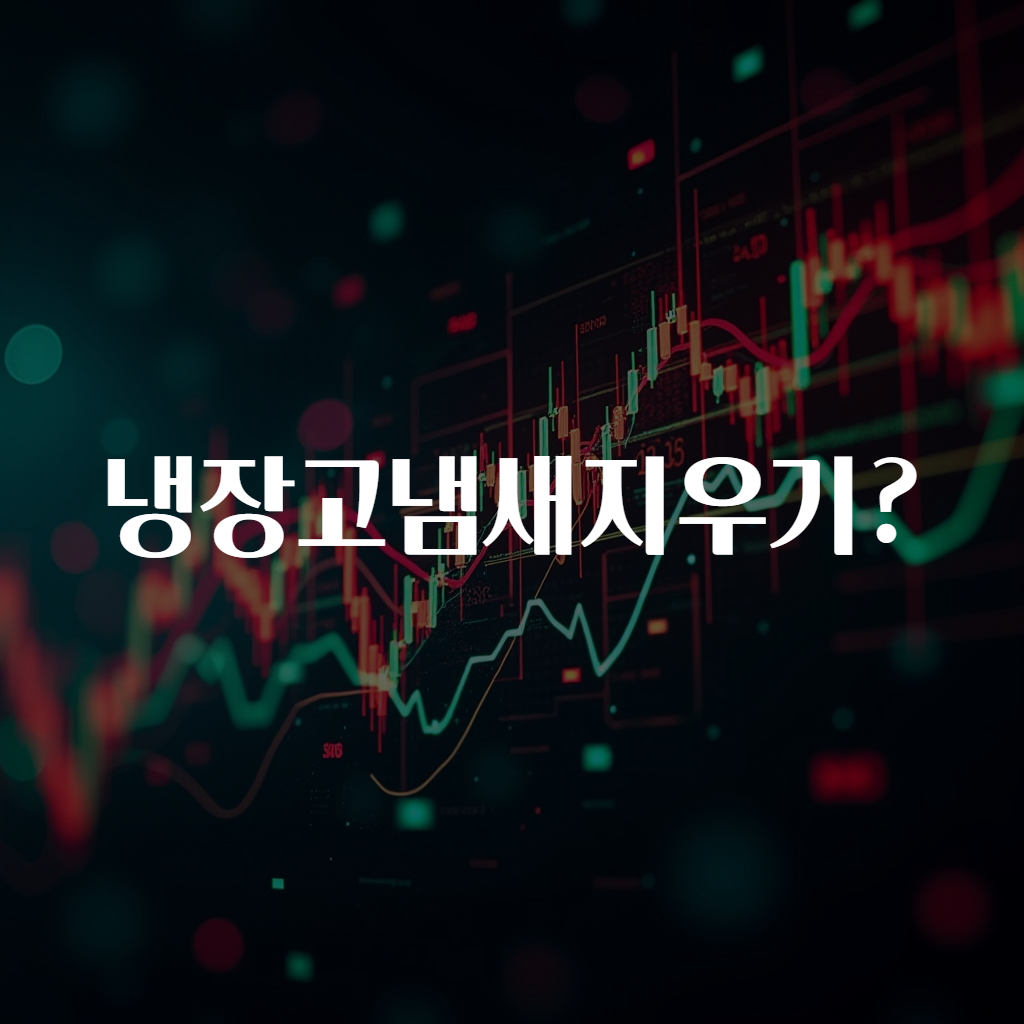 냉장고냄새지우기?