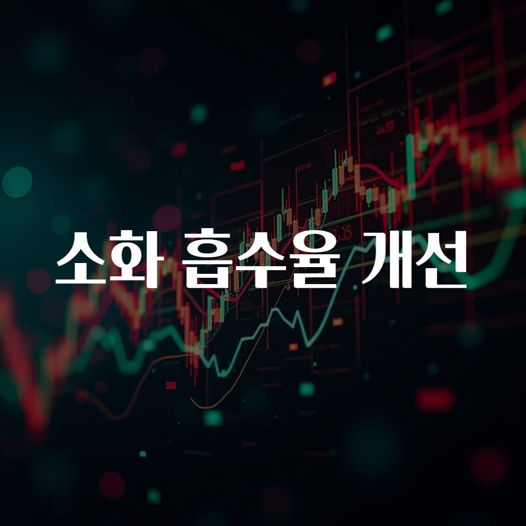 소화 흡수율 개선