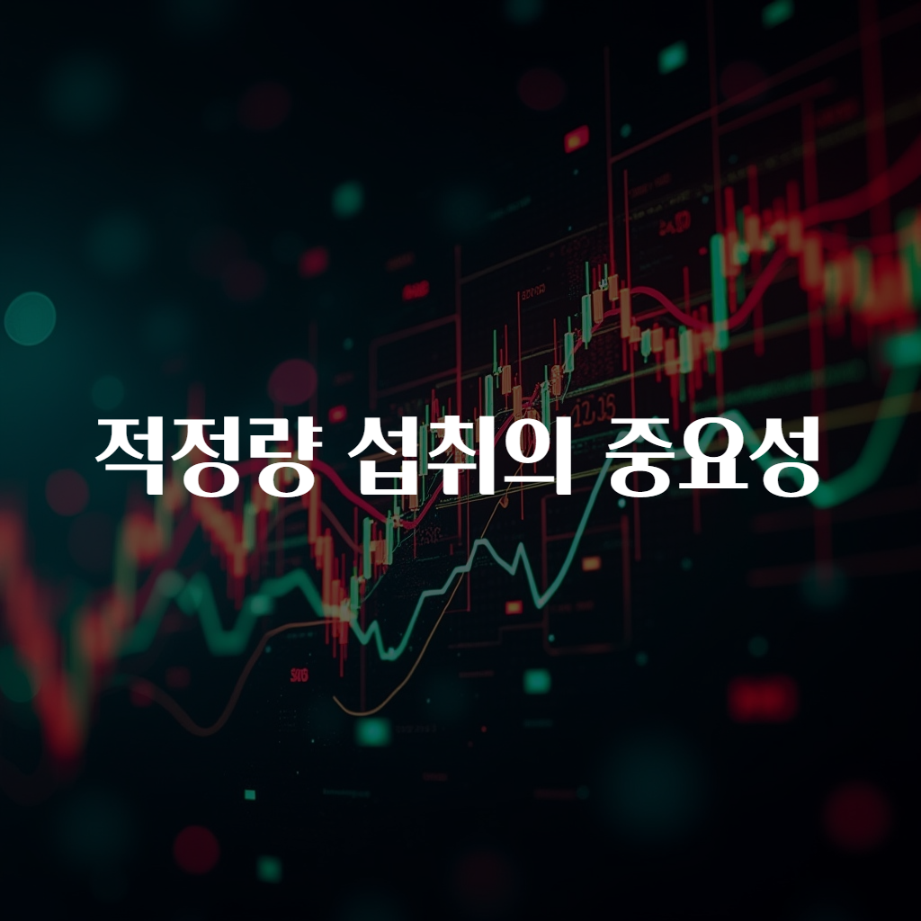 적정량 섭취의 중요성